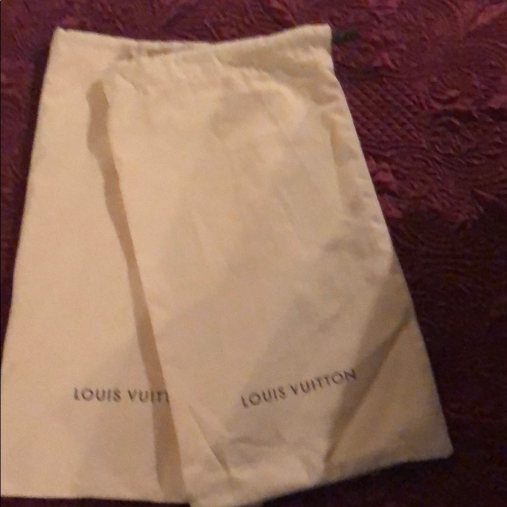 Authentic Louis Vuitton shoe bags
